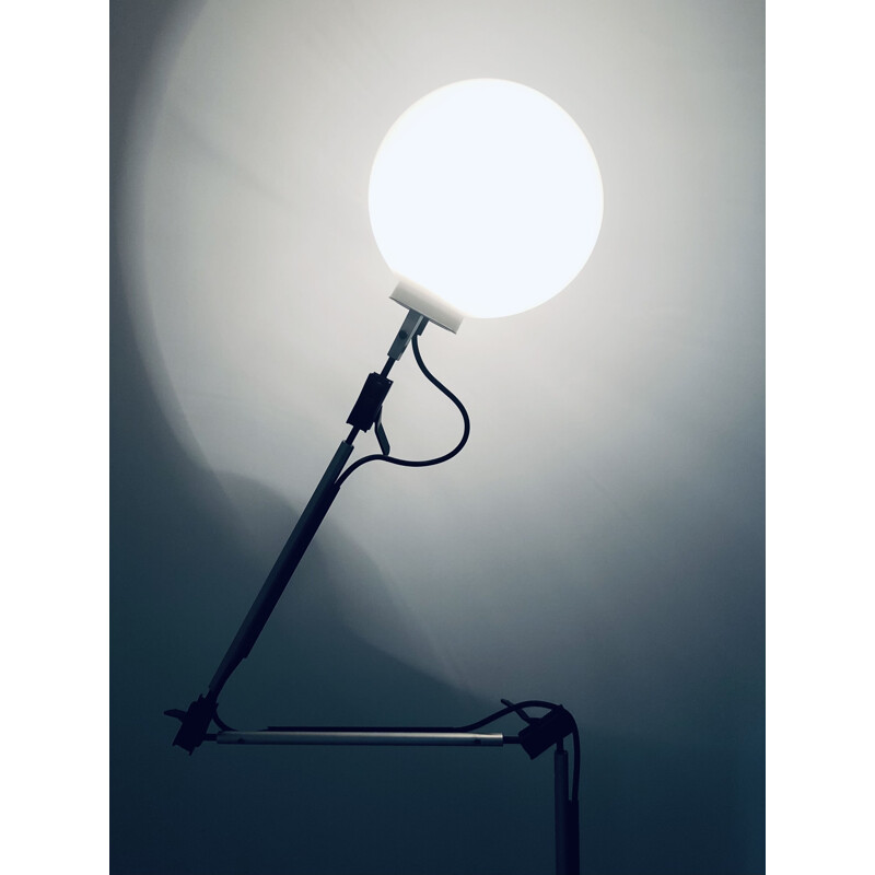 Aggregato terra" vintage vloerlamp van Enzo Mari voor Artemide, Italië 1970