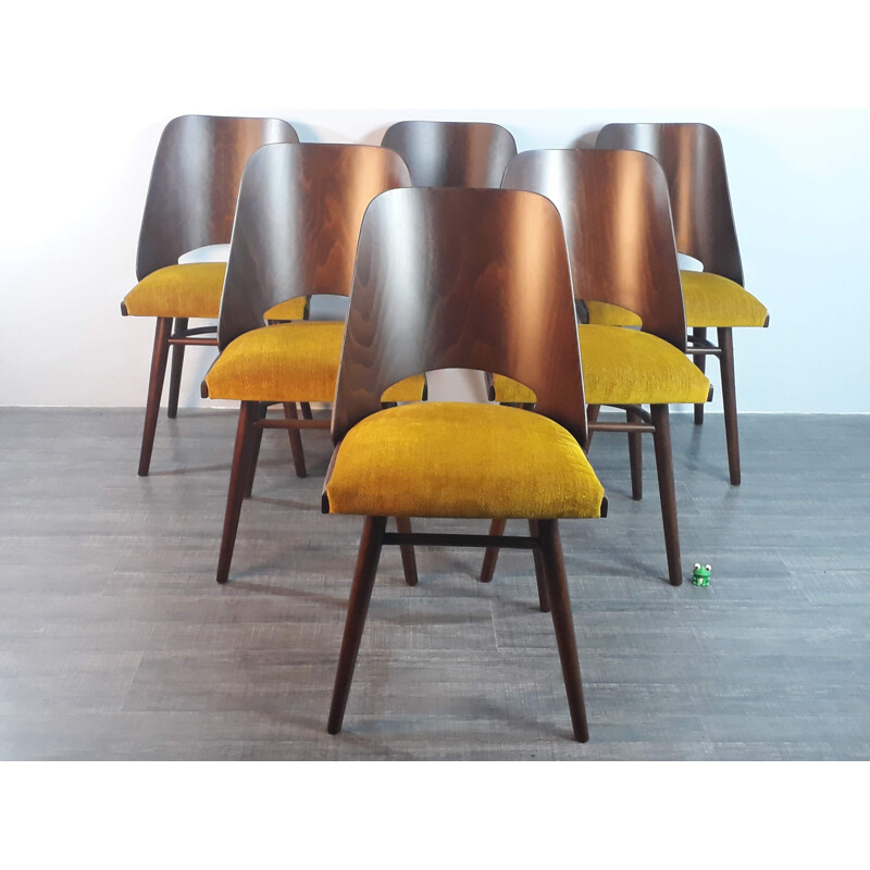 Set of 6 vintage walnut chairs by Lubomir Hofman for Ton, 1960