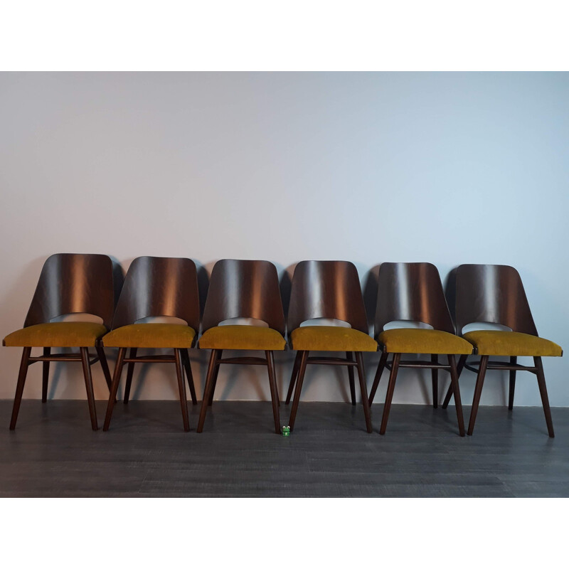 Set of 6 vintage walnut chairs by Lubomir Hofman for Ton, 1960