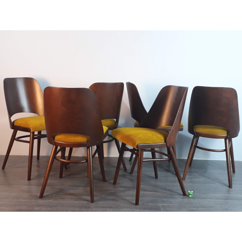 Set of 6 vintage walnut chairs by Lubomir Hofman for Ton, 1960