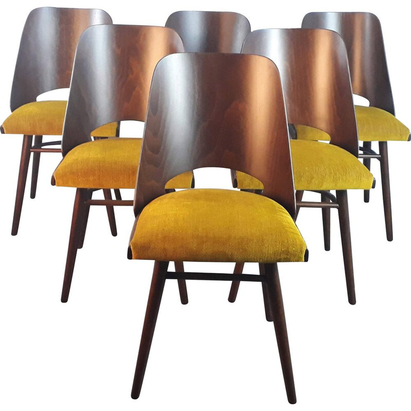 Set of 6 vintage walnut chairs by Lubomir Hofman for Ton, 1960