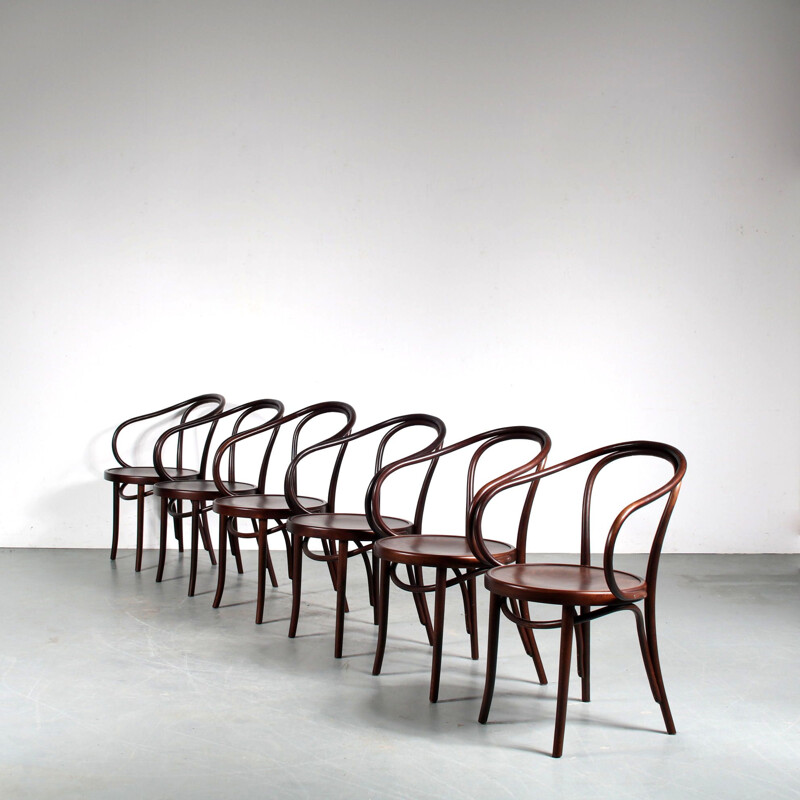 Set of 6 vintage "209" chairs by Thonet for Fameg, Poland 1930s