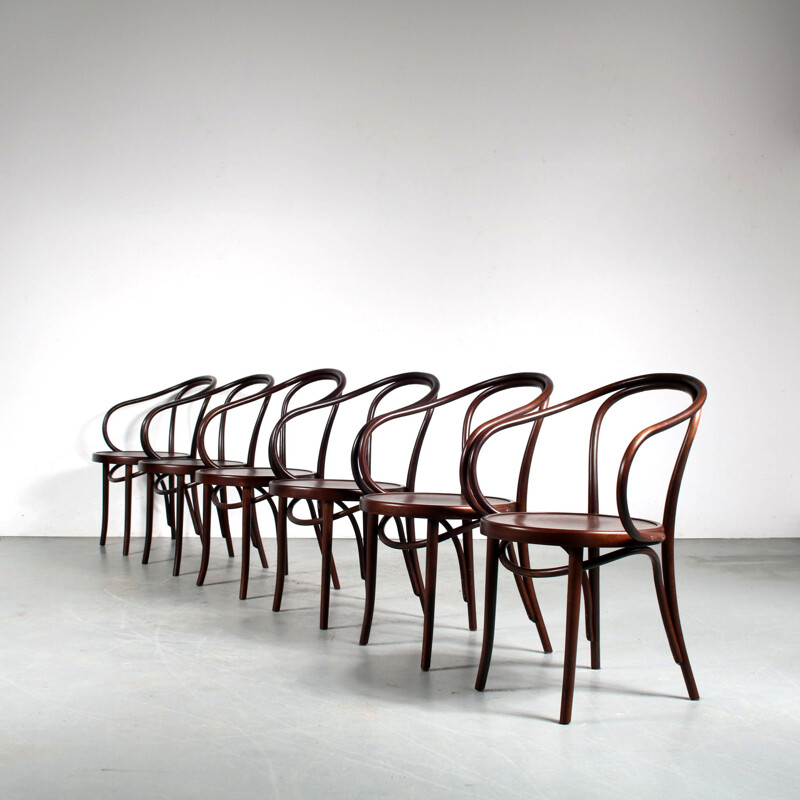 Set of 6 vintage "209" chairs by Thonet for Fameg, Poland 1930s