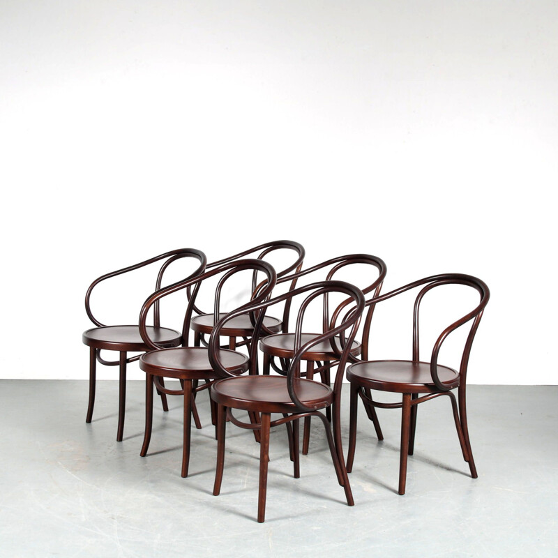 Set of 6 vintage "209" chairs by Thonet for Fameg, Poland 1930s