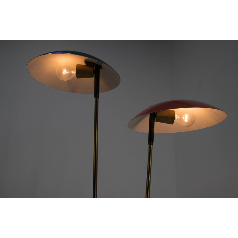 Mid-century floor lamp by Drukov, 1960s