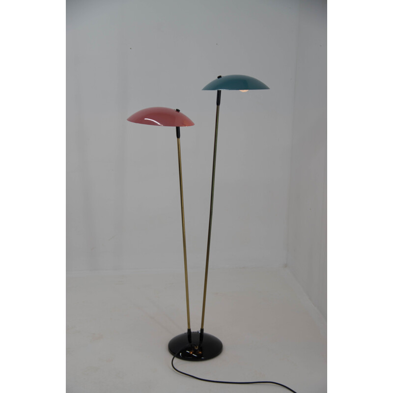 Mid-century floor lamp by Drukov, 1960s