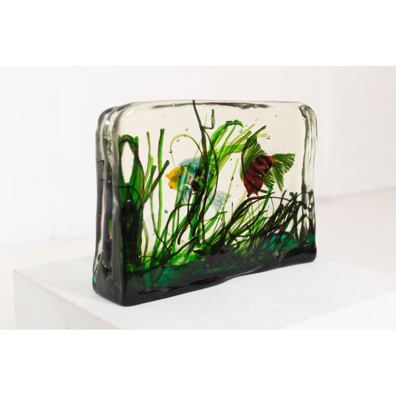 buurman Bron Basistheorie Vintage Murano glas aquarium door Cenedese, 1950