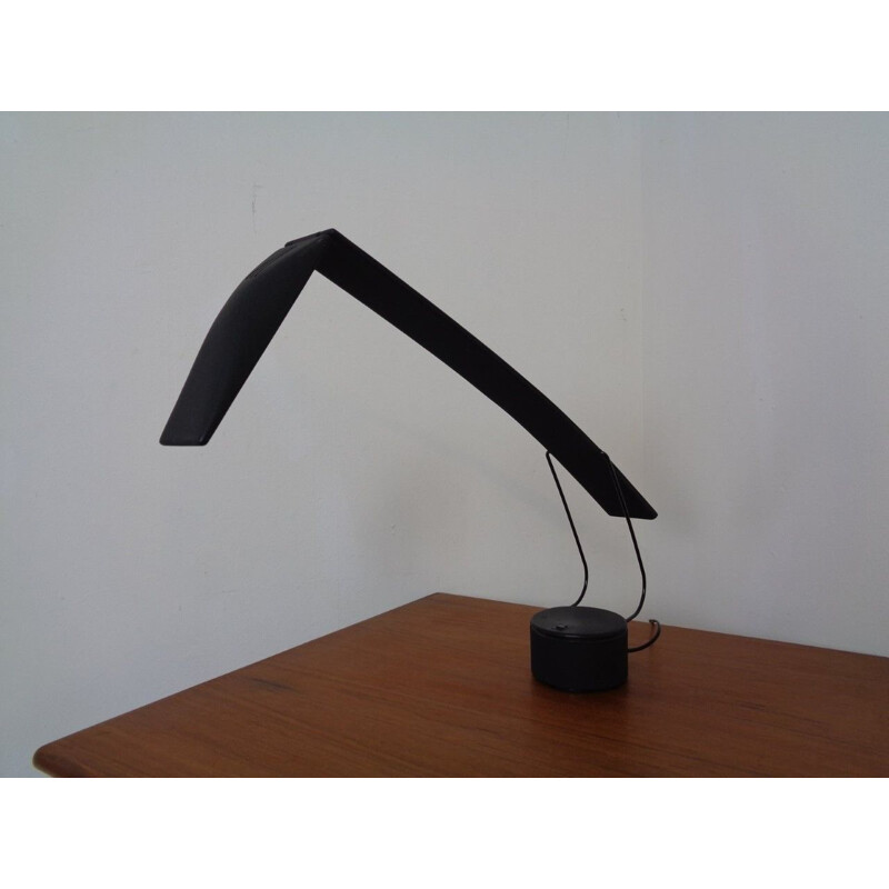 Vintage lamp "Dove" by Mario Barbaglia and Marco Colombo, 1980