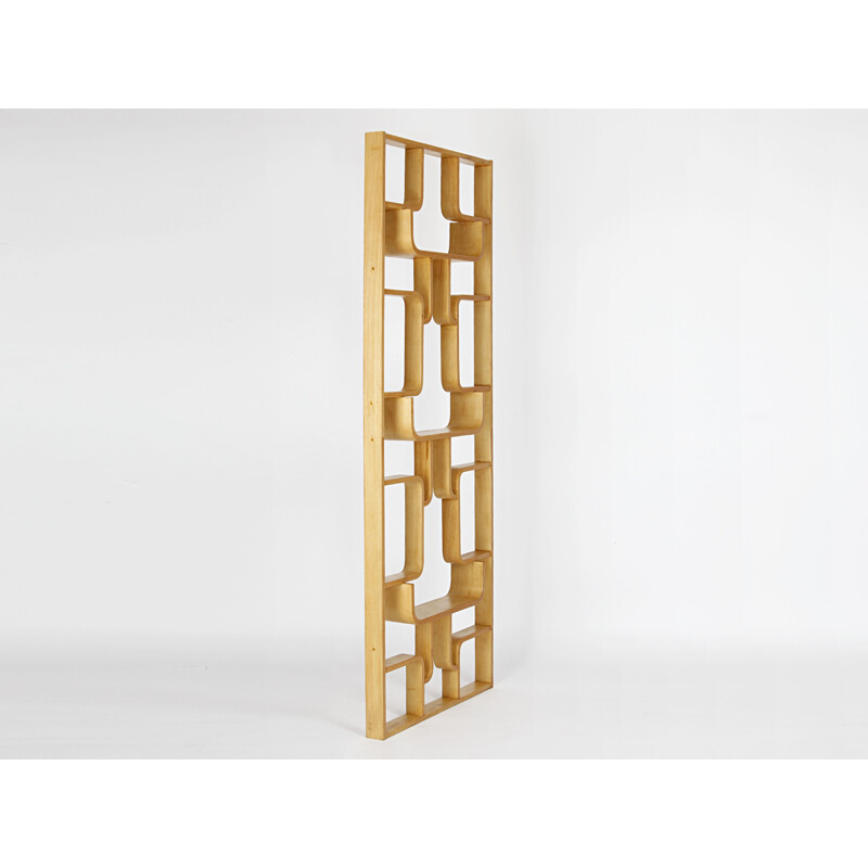 Vintage room divider by Ludvik Volak for Drevopodnik Holesov, Czechoslovakia 1960s