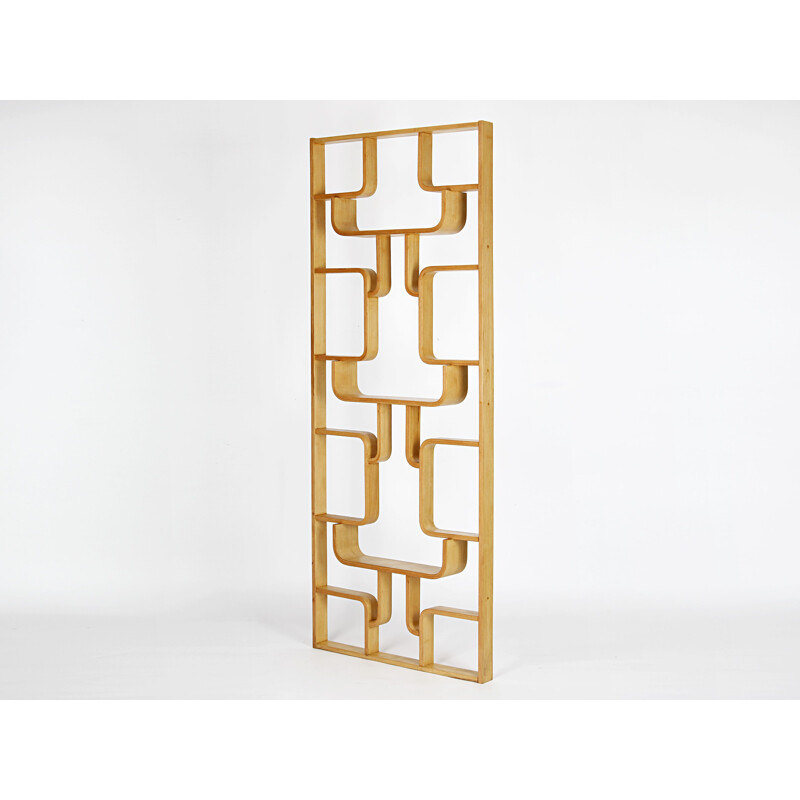 Vintage room divider by Ludvik Volak for Drevopodnik Holesov, Czechoslovakia 1960s