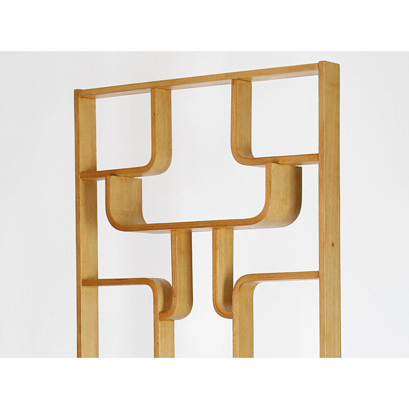 Vintage room divider by Ludvik Volak for Drevopodnik Holesov, Czechoslovakia 1960s