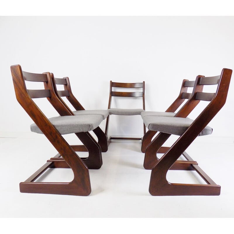 Set di 5 sedie vintage Casala in legno marrone scuro e grigio chiaro