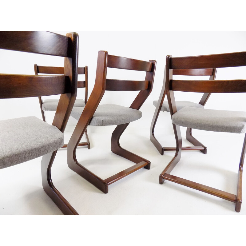 Set aus 5 Vintage Casala Stühlen aus dunkelbraunem und hellgrauem Holz