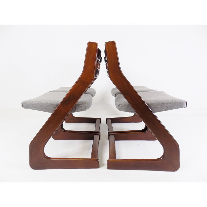 Ensemble de 5 chaises vintage Casala en bois brun foncé et gris clair