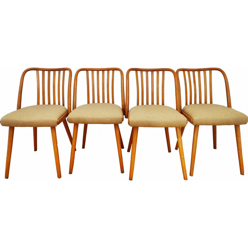 Set of 4 vintage chairs by A. Suman, Czechoslovakia 1960s