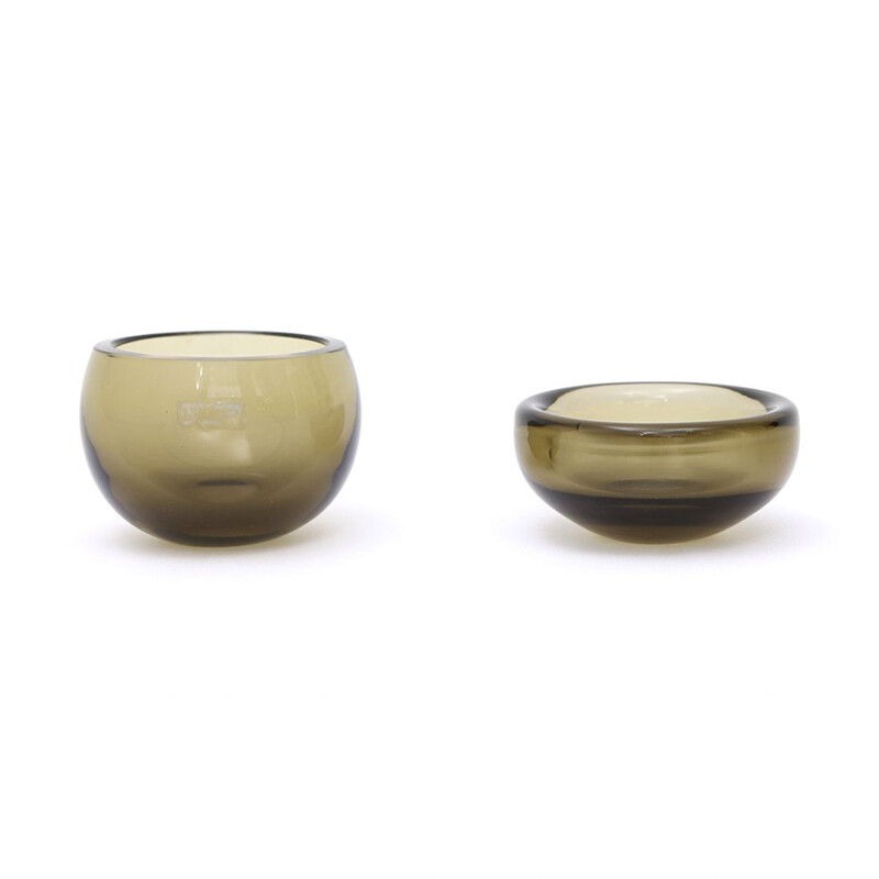 Pair of vintage glass bowls by Arturo Pasquinucci, 1960