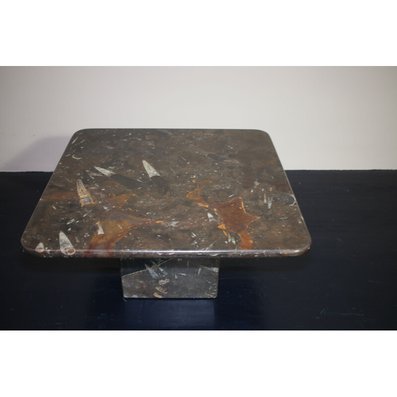 Vintage Fossilised coffee table, 1960s