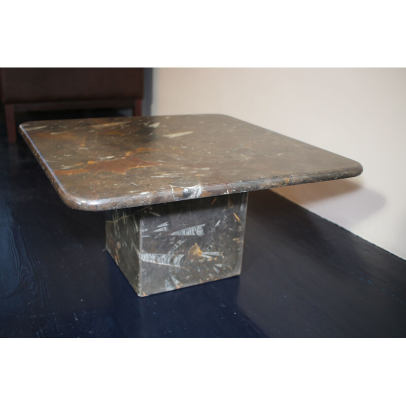 Table basse fossilisée vintage, 1960