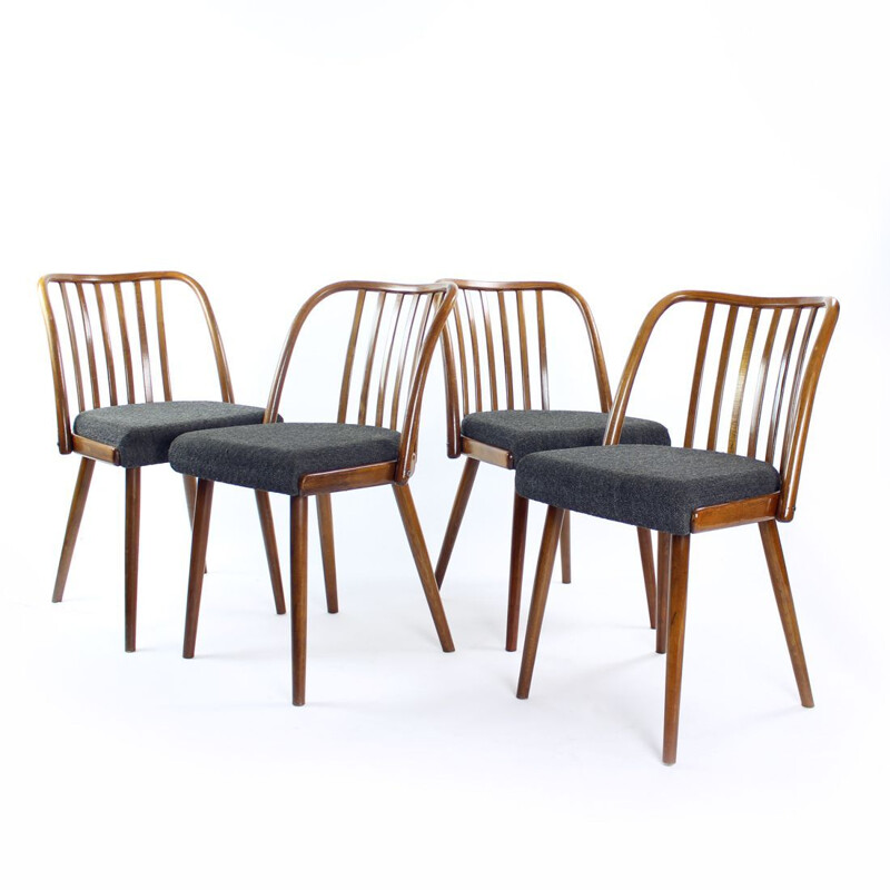 Ensemble de 4 chaises vintage en bois courbé par Jitona, Tchécoslovaquie 1960