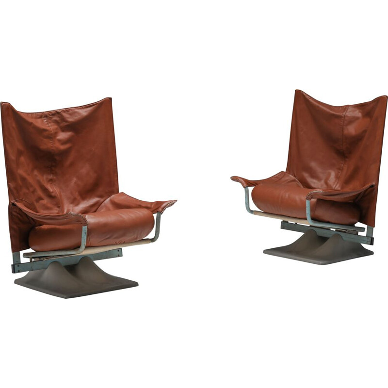 Pair of vintage armchairs "Aeo" by Paolo Deganello for Cassina, 1973