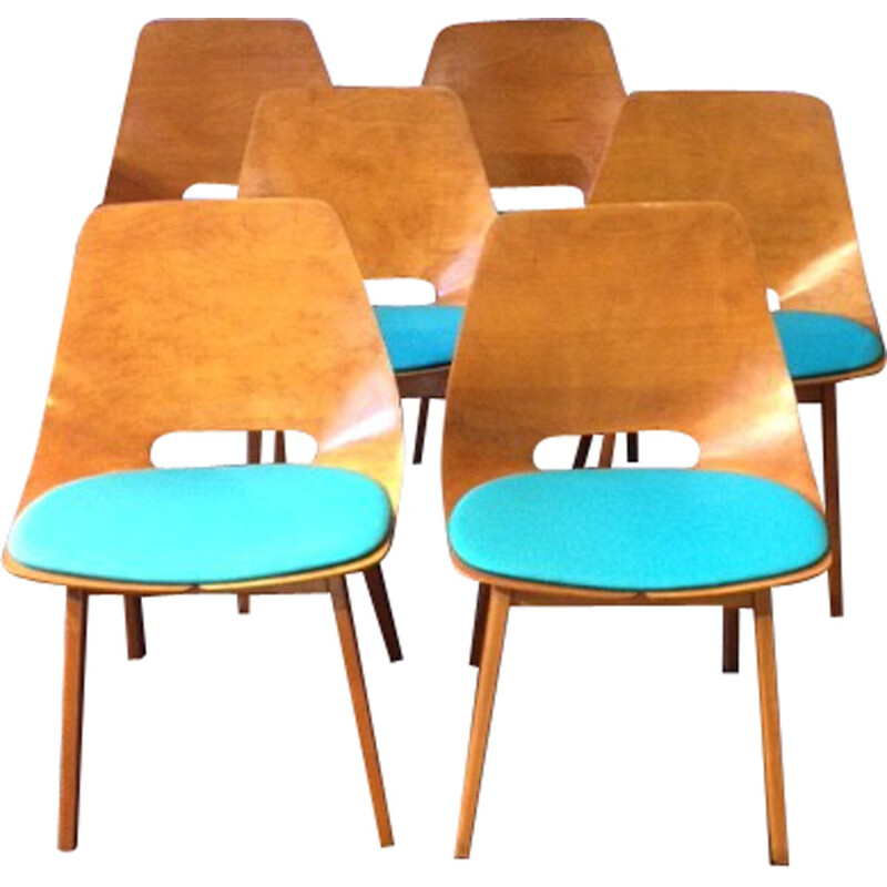 Set of 6 Steiner "Amsterdam" chairs, A.R.P. - 1954