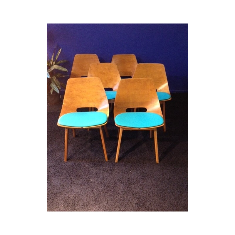 Set of 6 Steiner "Amsterdam" chairs, A.R.P. - 1954