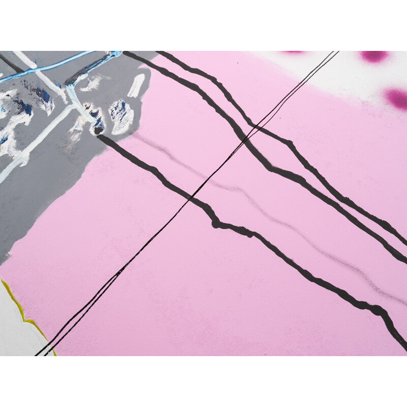 Olio d'epoca e vernice spray su tela "Pink roe" di Detlef Hagenbaumer
