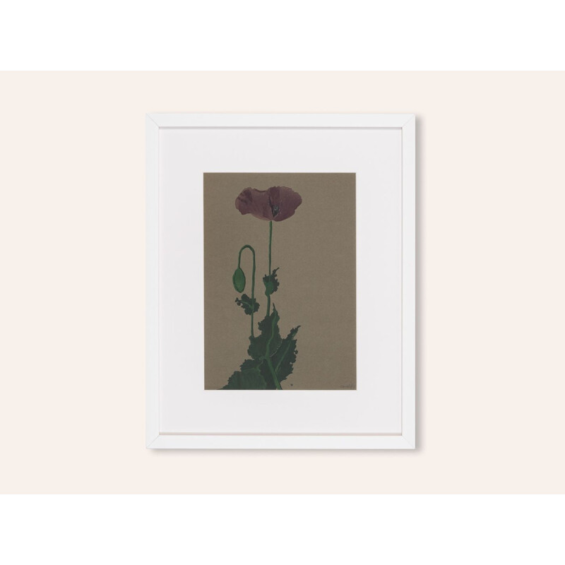 Aquarelle vintage sur papier "Poppy" par Werner Oberdorffer