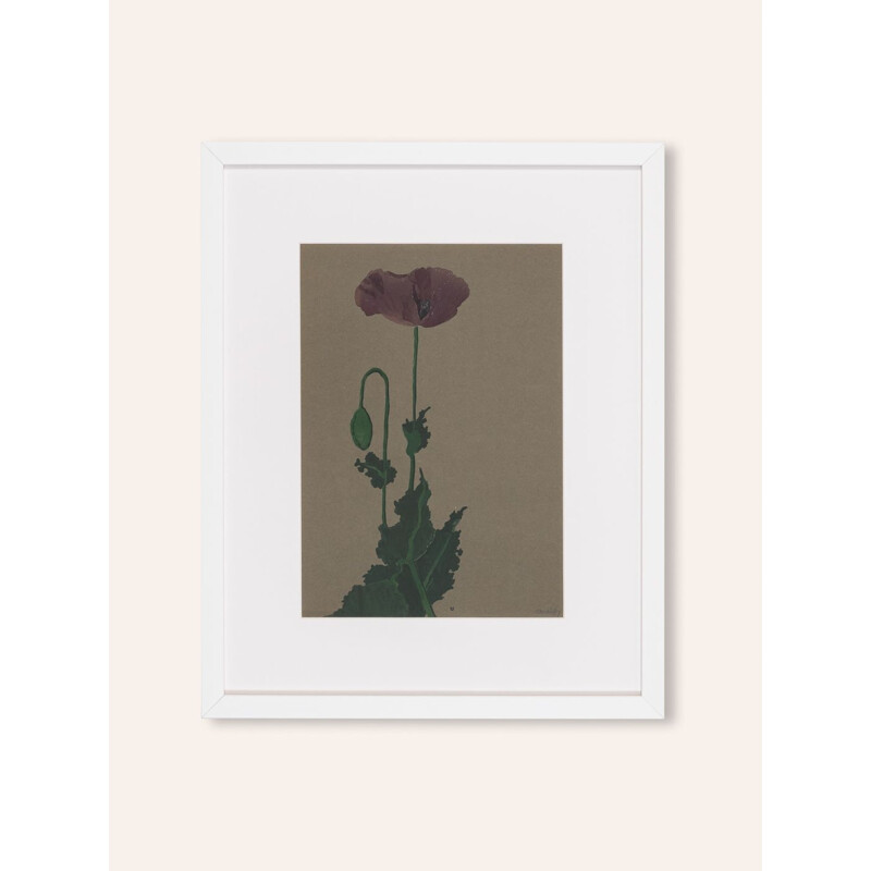 Aquarelle vintage sur papier "Poppy" par Werner Oberdorffer