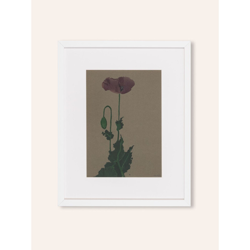 Vintage watercolor on paper "Poppy" by Werner Oberdorffer