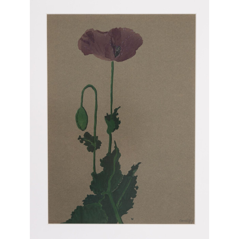 Aquarelle vintage sur papier "Poppy" par Werner Oberdorffer