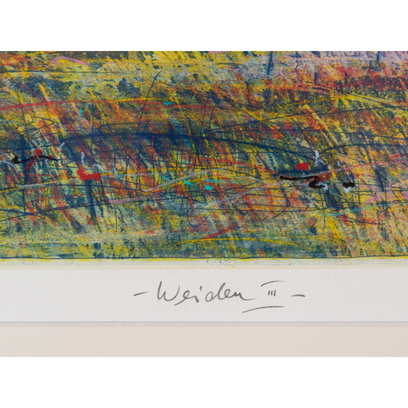Incisione d'epoca "Weiden III" a colori su carta di Gerhard Messemer