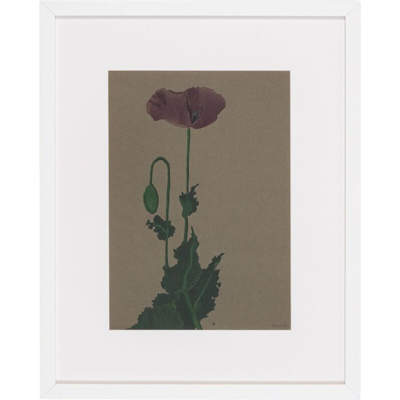 Aquarelle vintage sur papier "Poppy" par Werner Oberdorffer