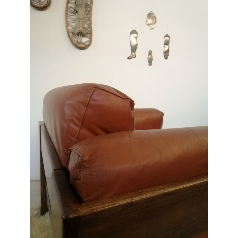 Bastiano vintage armchair by Tobia Scarpa for Gavina, 1960