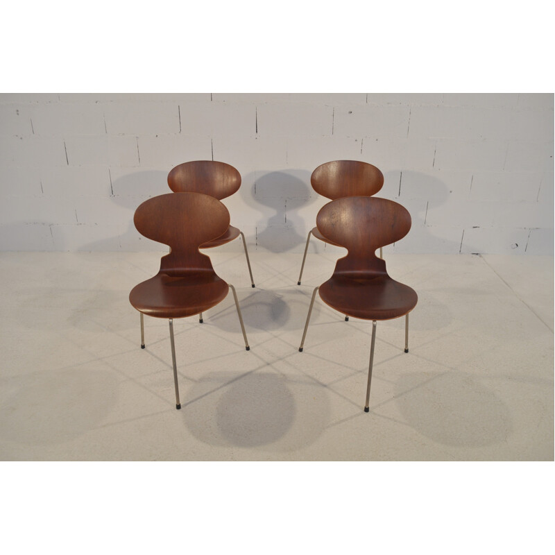 Suite de 4 chaises "Fourmi", Arne JACOBSEN - années 50