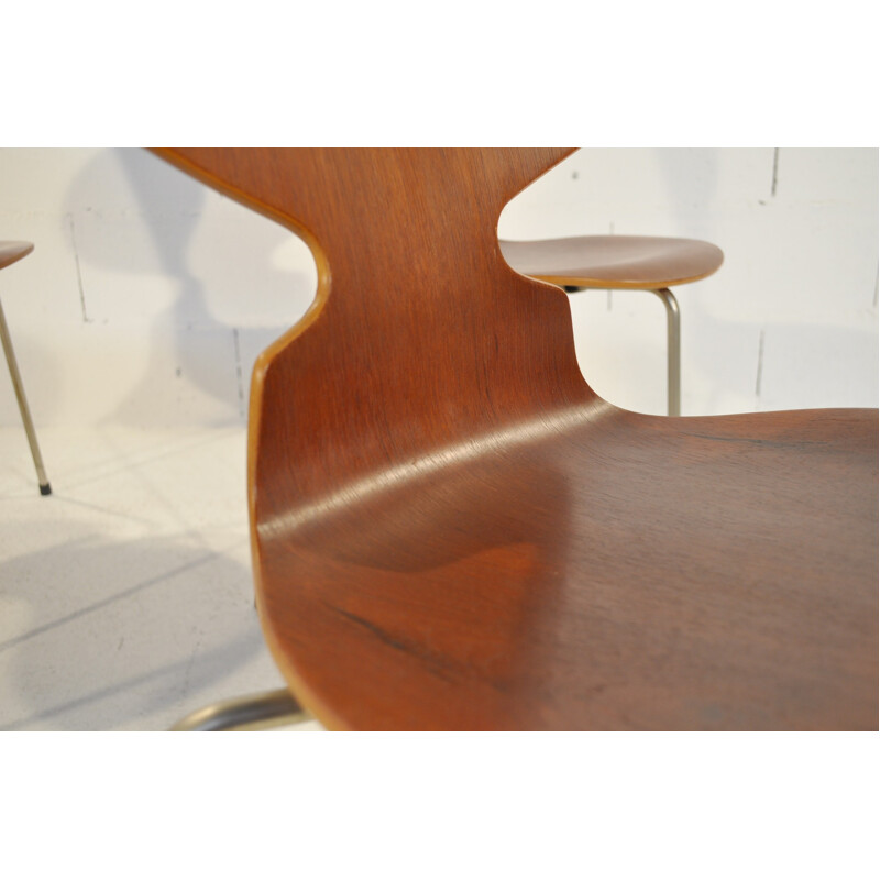 Suite de 4 chaises "Fourmi", Arne JACOBSEN - années 50