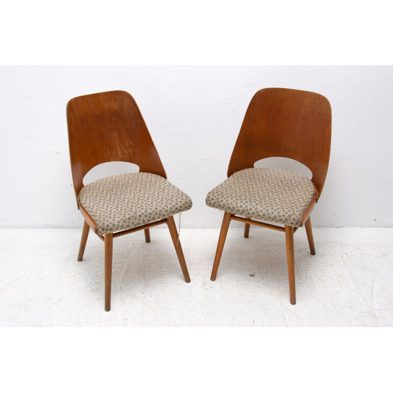 Paar vintage gebogen houten stoelen van Radomír Hofman voor Ton, Tsjecho-Slowakije 1960