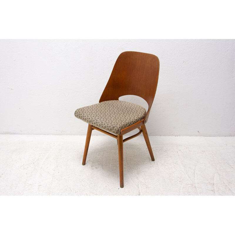 Ein Paar Vintage-Stühle aus Bugholz von Radomír Hofman für Ton, Tschechoslowakei 1960
