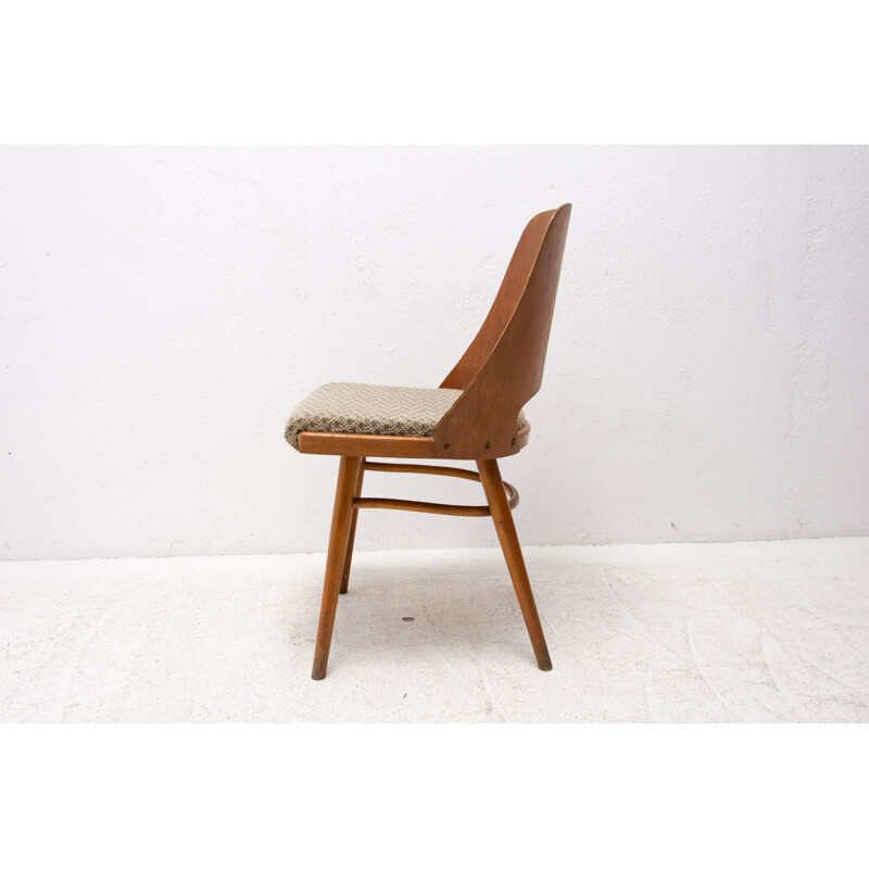 Coppia di sedie vintage in legno curvato di Radomír Hofman per Ton, Cecoslovacchia 1960