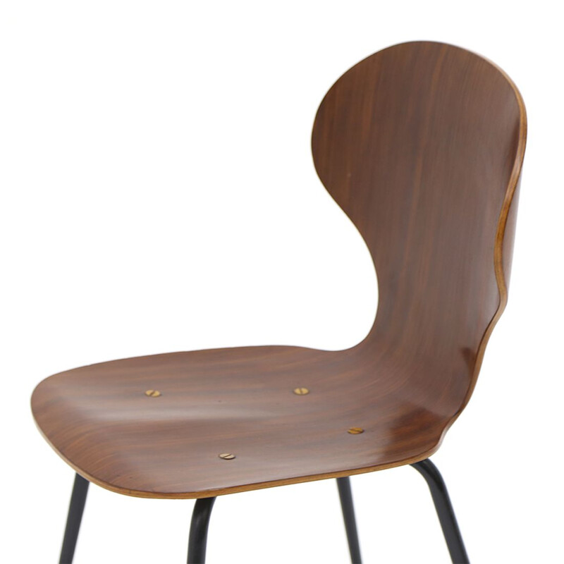 Vintage "Lulli" chair by Carlo Ratti for Industria Legni Curvati, 1950s