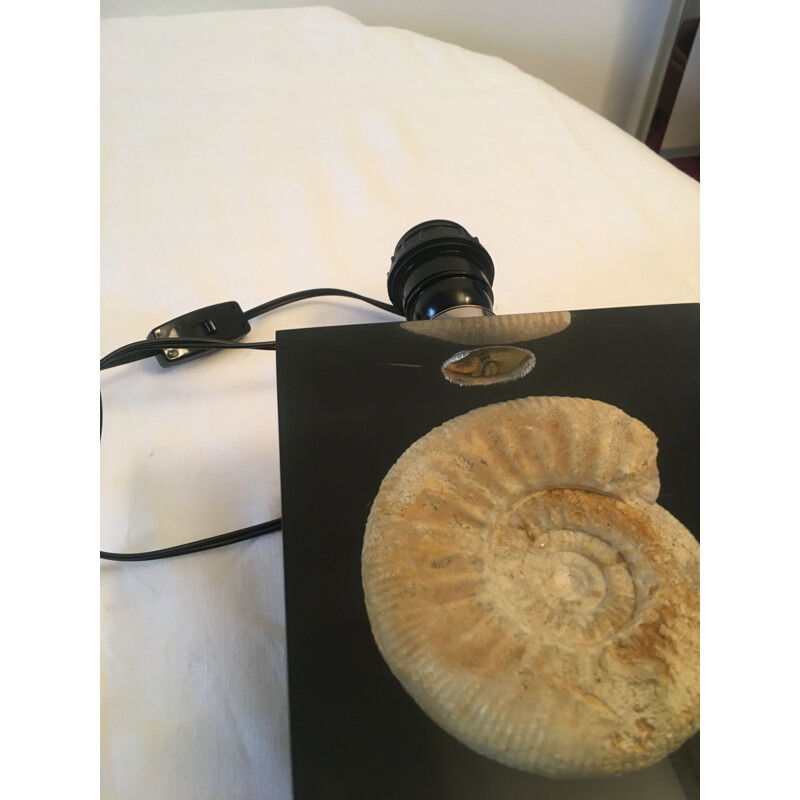 Vintage lamp in resin and ammonite fossil by Pierre Giraudon, 1970