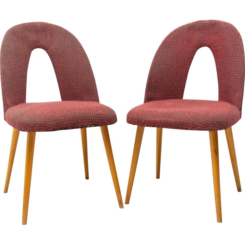 Pair of vintage fabric and beech chairs by Antonín Šuman for Tatra nábytok, Czechoslovakia 1960