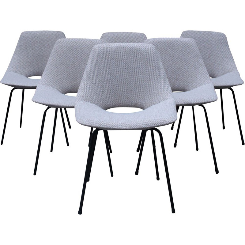 Set of 6 vintage Amsterdam chairs by Pierre Guariche for Steiner