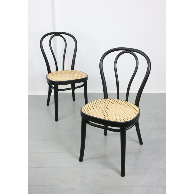 Pair of vintage black chairs by Michael Thonet