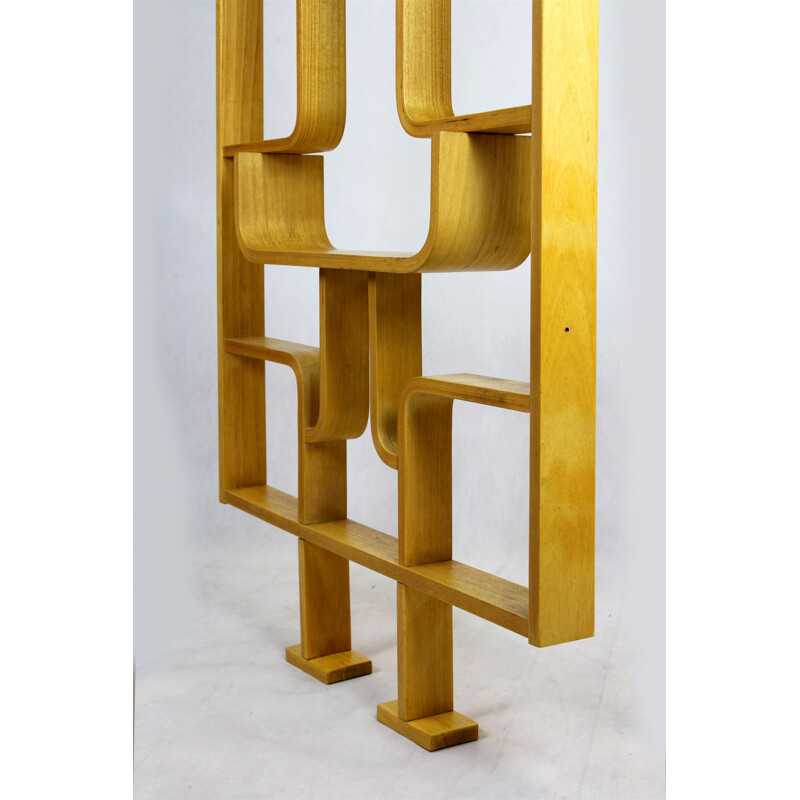 Mid-century room divider by Ludvik Volak for Drevopodnik Holesov, 1960s