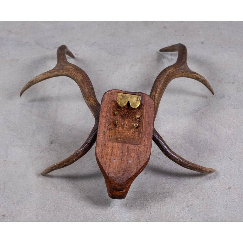 Vintage deer antlers on carved wood head, 1960