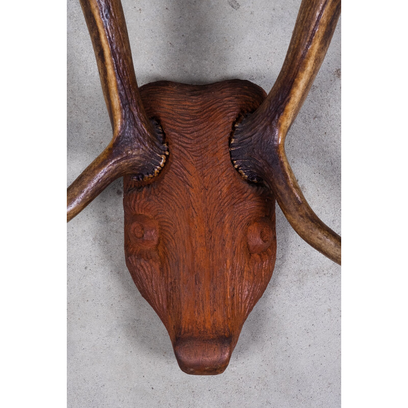 Corna di cervo d'epoca su testa di legno intagliata, 1960