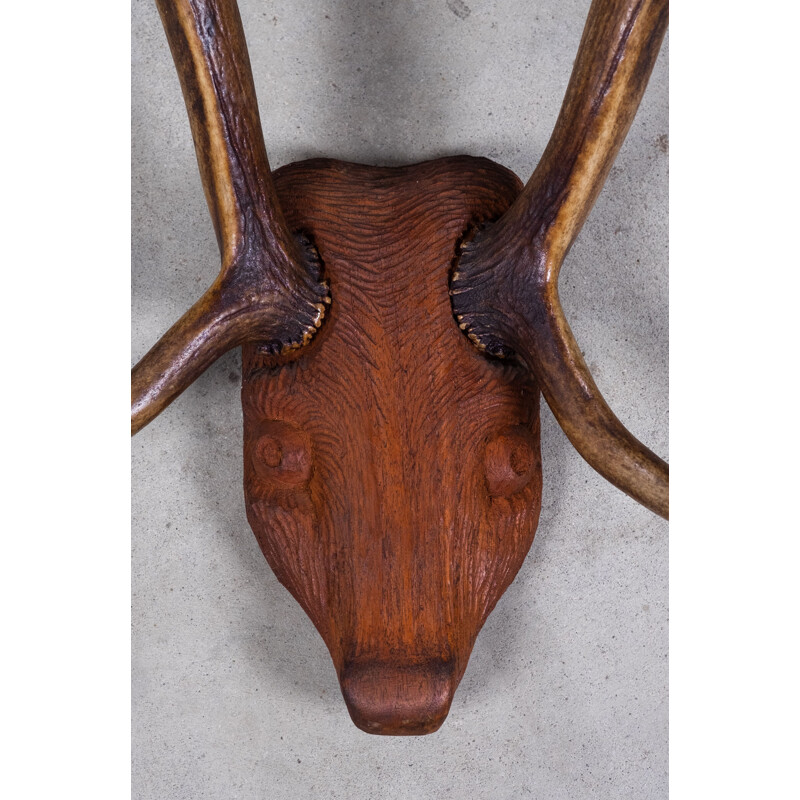 Vintage deer antlers on carved wood head, 1960