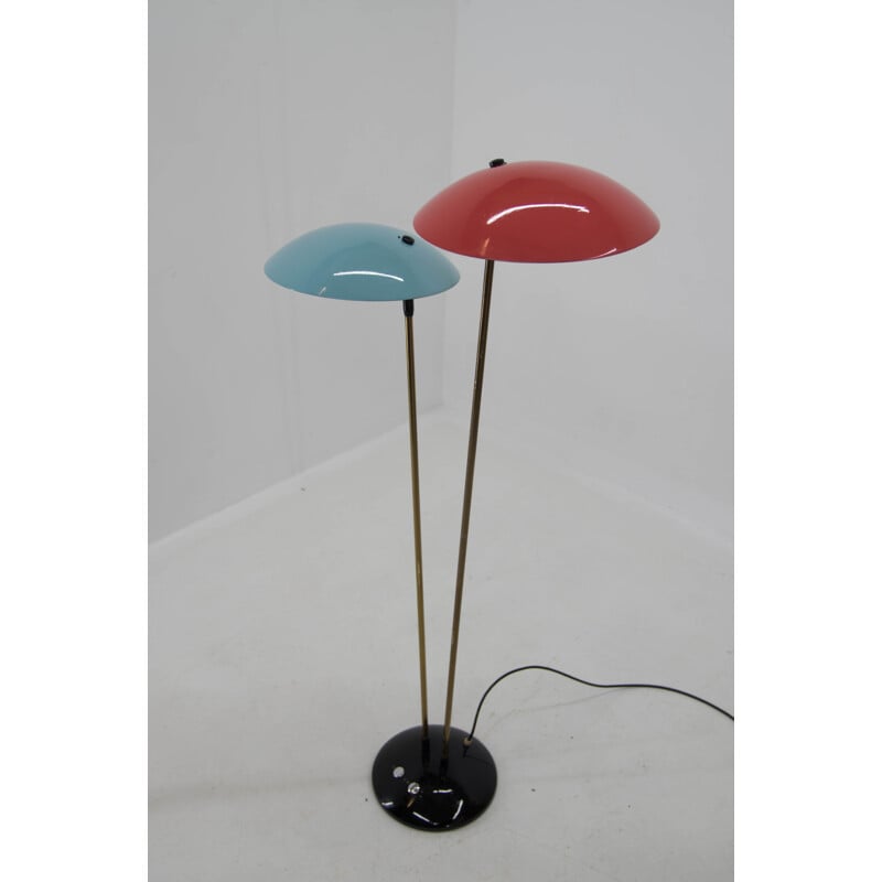 Mid century floor lamp by Drukov, 1960s