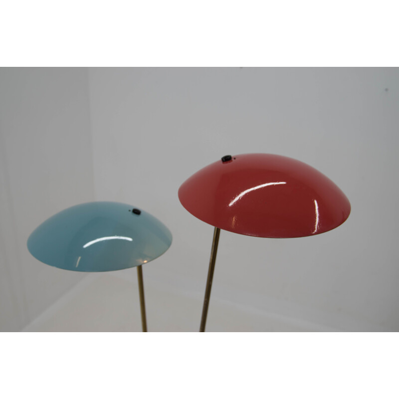 Mid century floor lamp by Drukov, 1960s